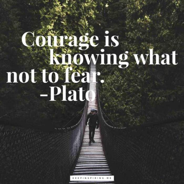 Courage courageous knowing keepinspiring